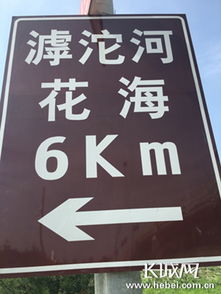 滹沱河畔百花盛開，石家莊市民賞花正當時